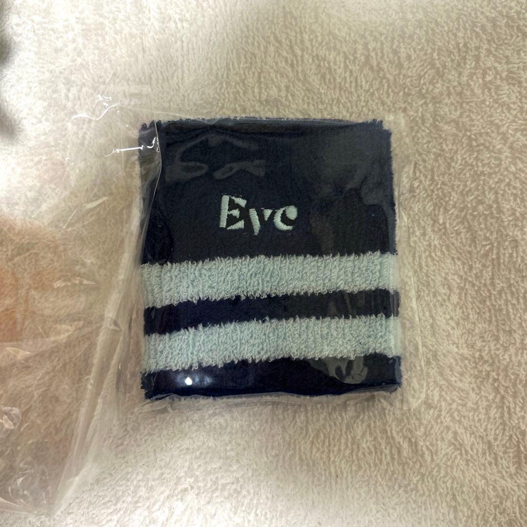 ね*こ様 Eve iconぬい・リストバンド・横浜チケット・銀テセット