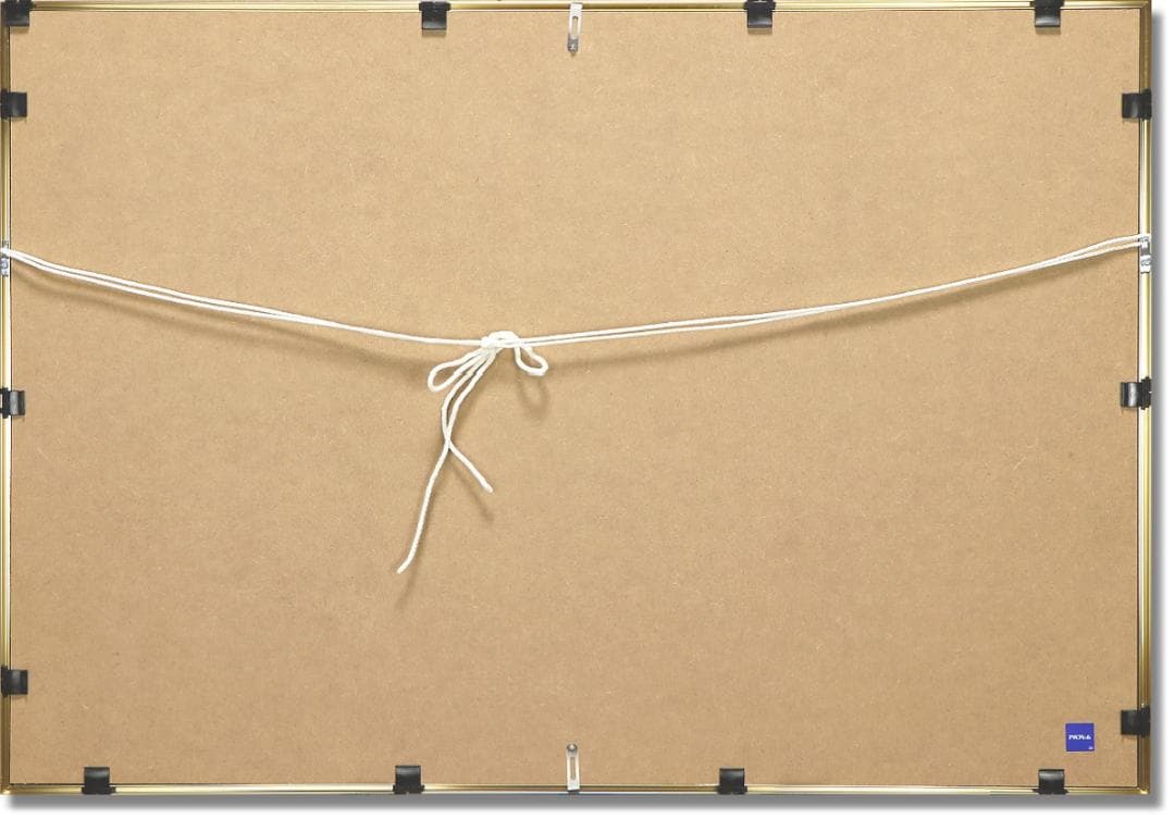 ◆ベルナール・カトラン 『青い背景のアイリス』 額装オフセットリトグラフ