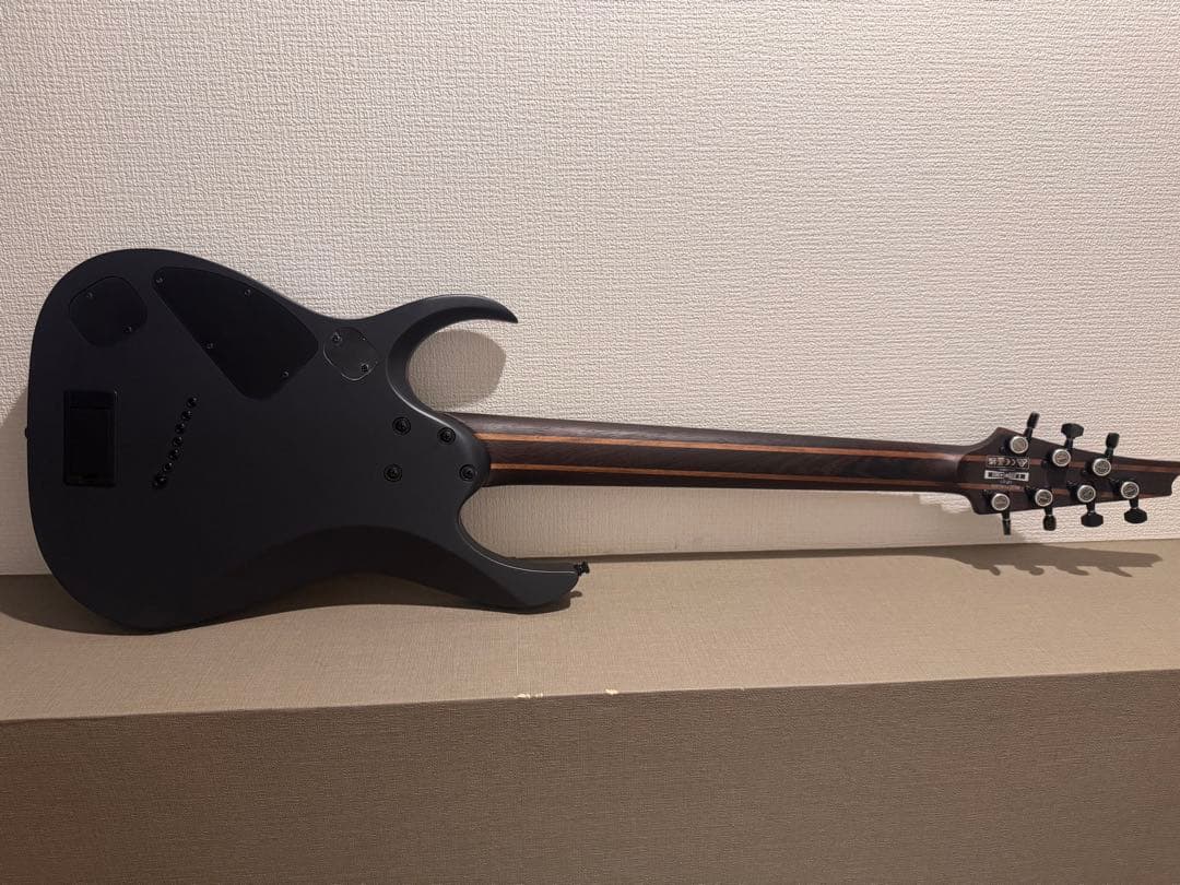 Ibanez RGD71 ALMS Axion Label 7弦