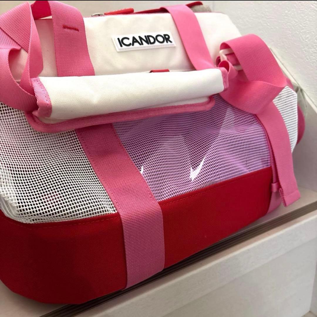 アイキャンダーキャリーバック