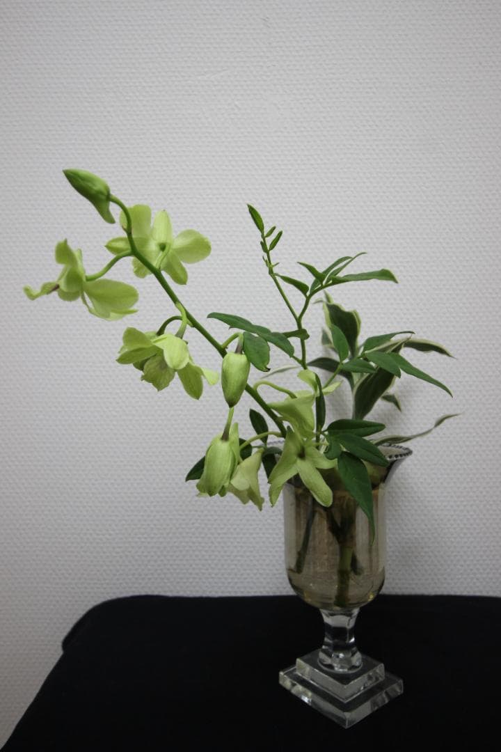 【レンズ４本セット】Canon EOS デジタル一眼レフカメラ Kiss X5