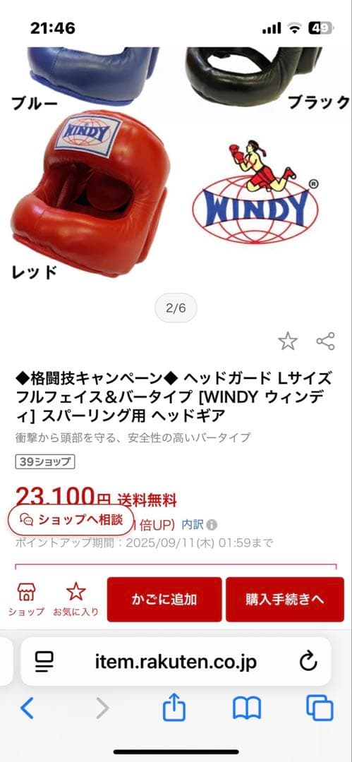 【美品】WINDY ヘッドギア 黒