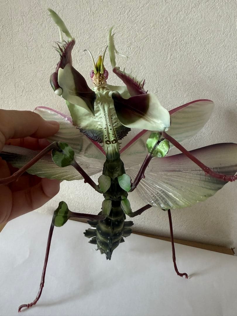 シ*ン様 いきもの大図鑑アドバンス　ニセハナマオウカマキリコンプリート