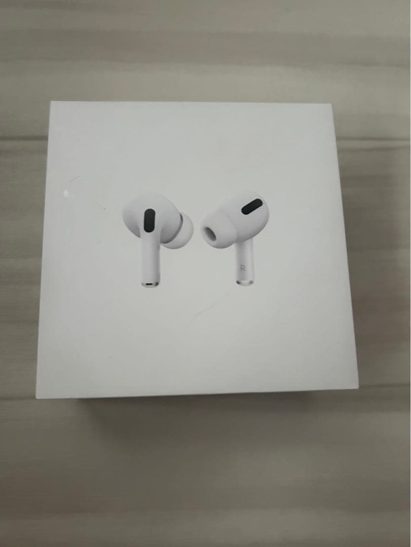 APPLE MWP22J/A 、箱、付属品