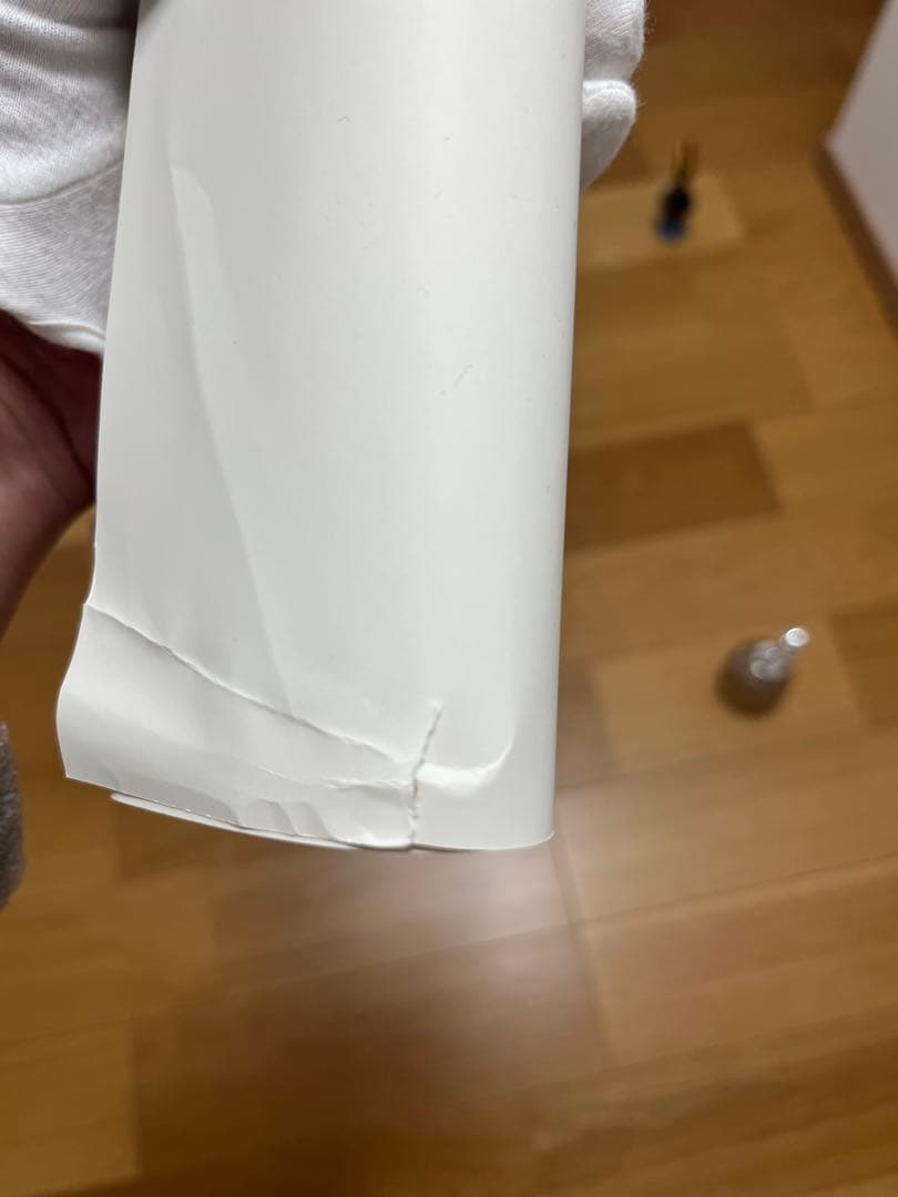 Supreme ポスター ケイトモス　レオパード柄　フレーム無し