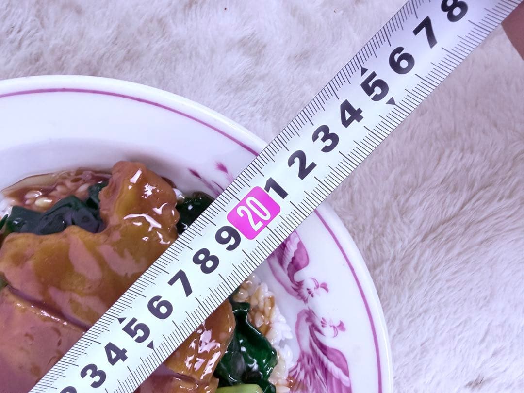 昭和レトロ 排骨飯 パイコーハン 食品サンプル 約21.5cm