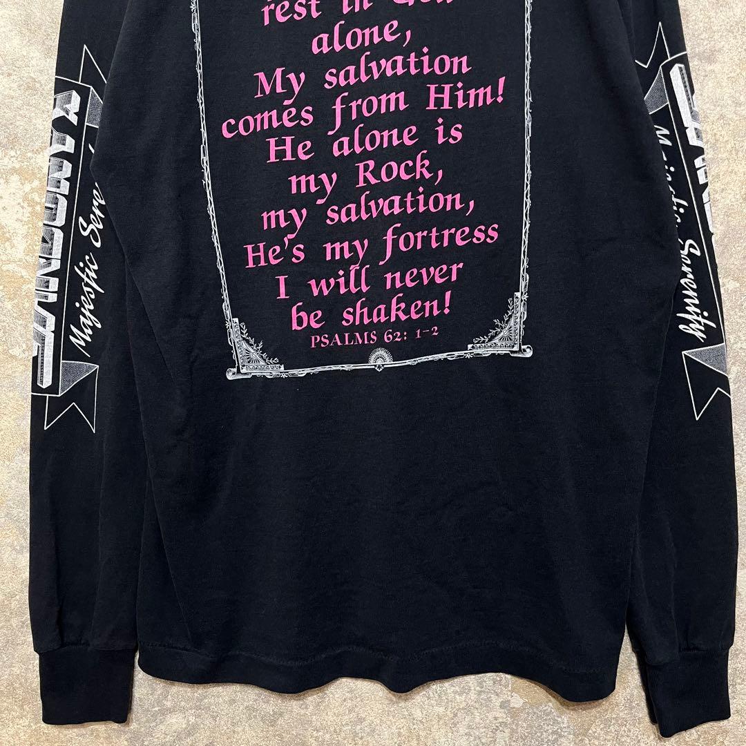 USA製 SCREEN STARS Sardonyx 長袖Tシャツ ロンT