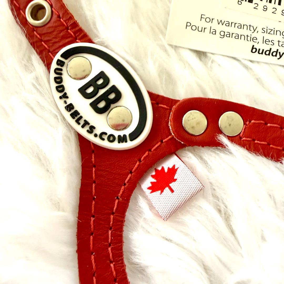 [新品] BBベルト 2.5号 ハーネス+リード セット　 *レッド