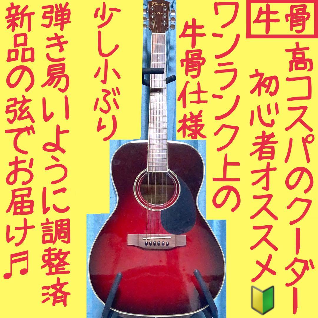 【牛骨】Cooder！クーダー！CAN-1！少し小ぶり【弾き易く調整☆新品の弦】