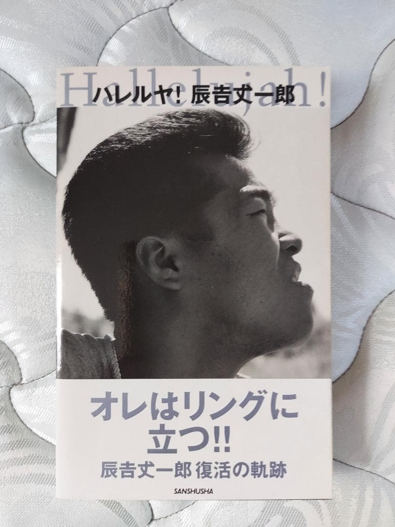 ボクシング　辰吉丈一郎　サイン入りマスコットグローブ　オはマケ有