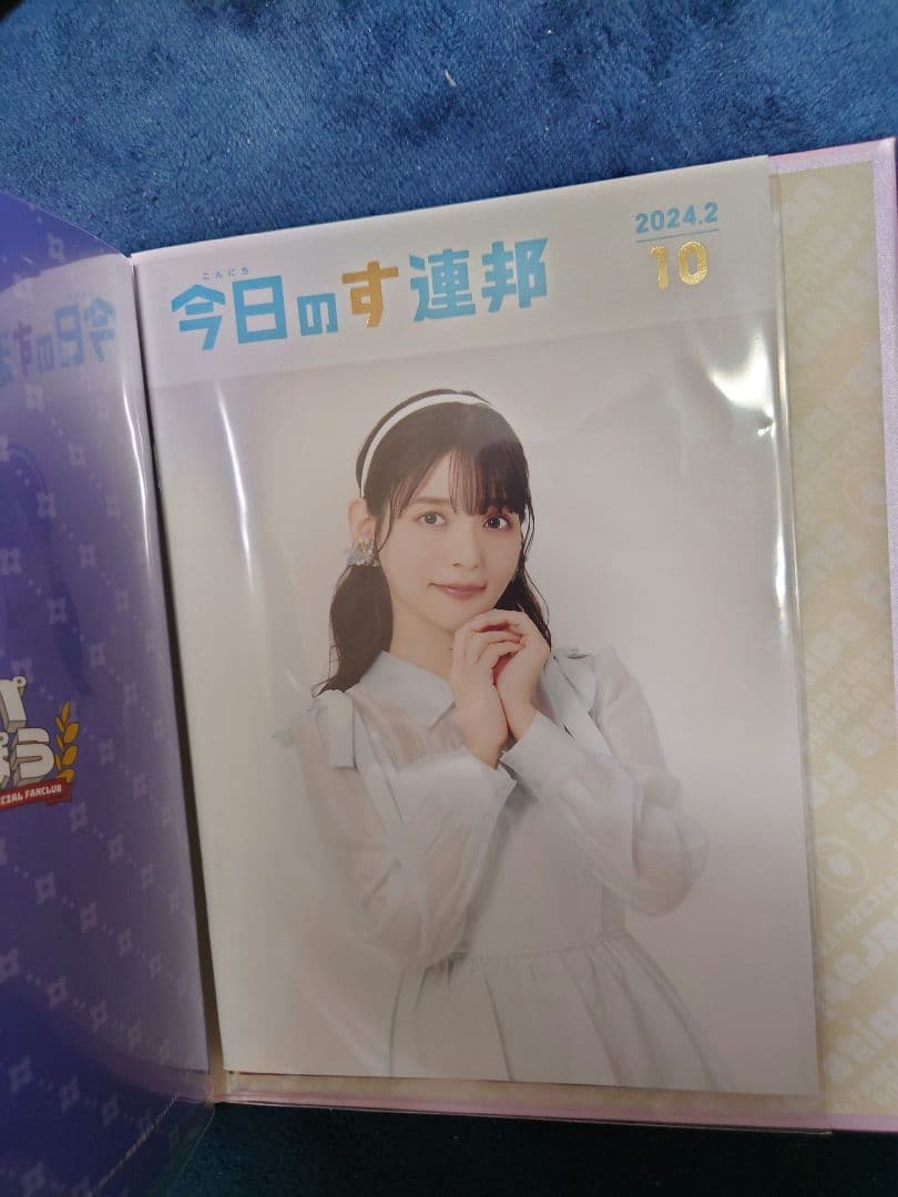 上坂すみれ ファンクラブ会報誌 全11部 専用バインダー付属