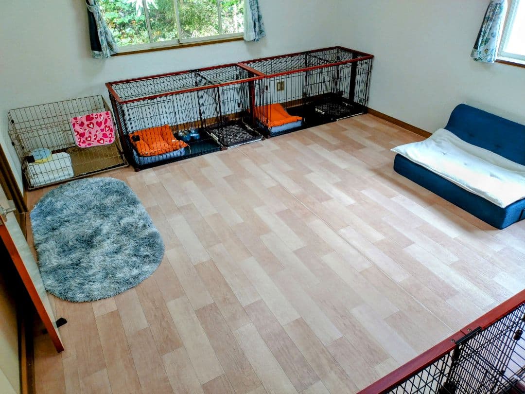 犬用金属ケージ