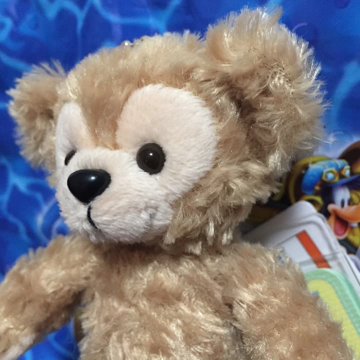 お譲り先決まりました♡⑤  ダッフィー ぬいぐるみバッジ