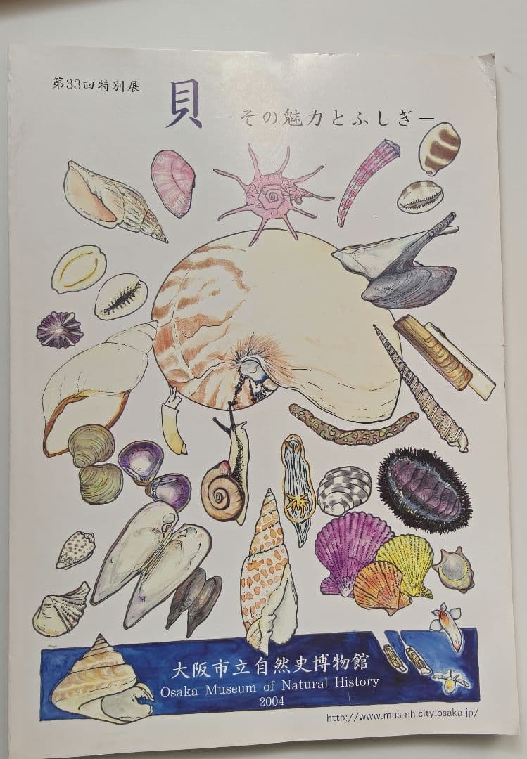 貝に沼る 解説書と風呂敷 特別展 大阪市立自然史博物館