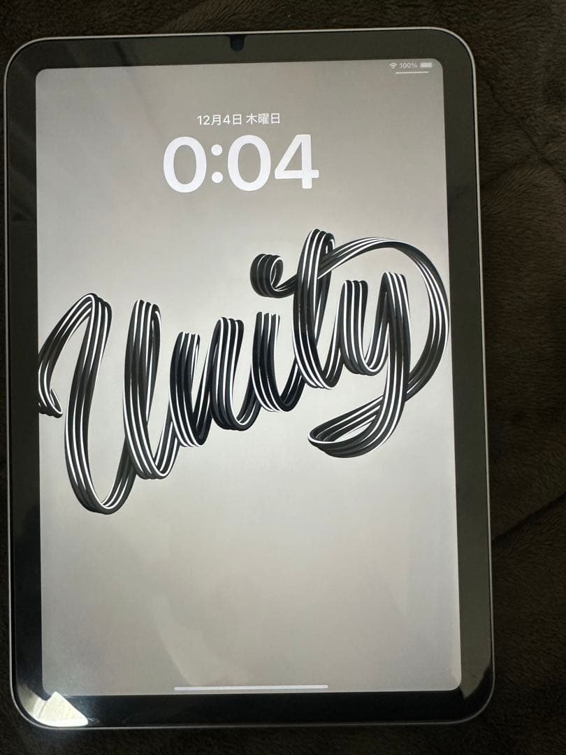 Apple iPad mini 7 本体