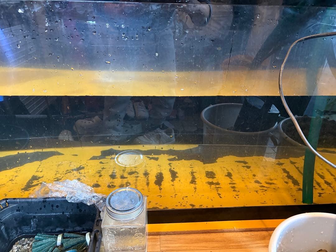 岐阜県 1/17以降 1500×600×600大型アクリル水槽フルセット8万