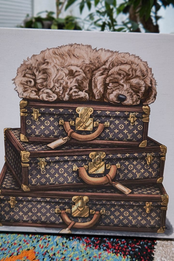 オリバーガルのポップアート