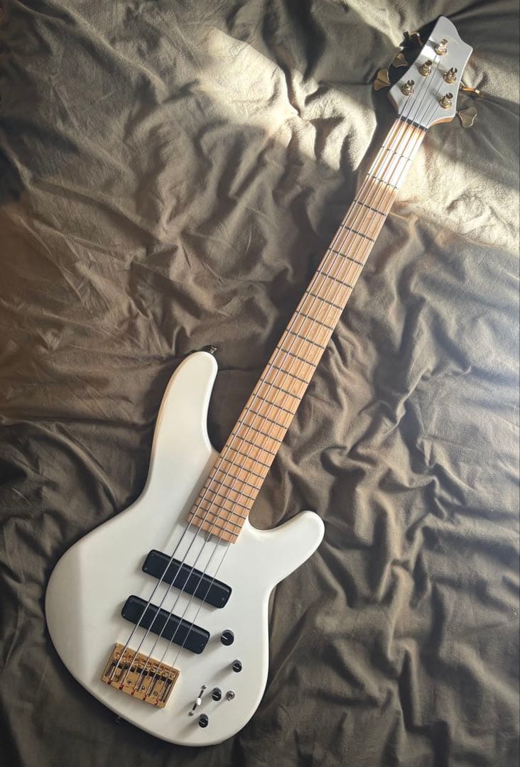 最終値下げ　Heartfield DR-5 fujigen製 5弦ベース