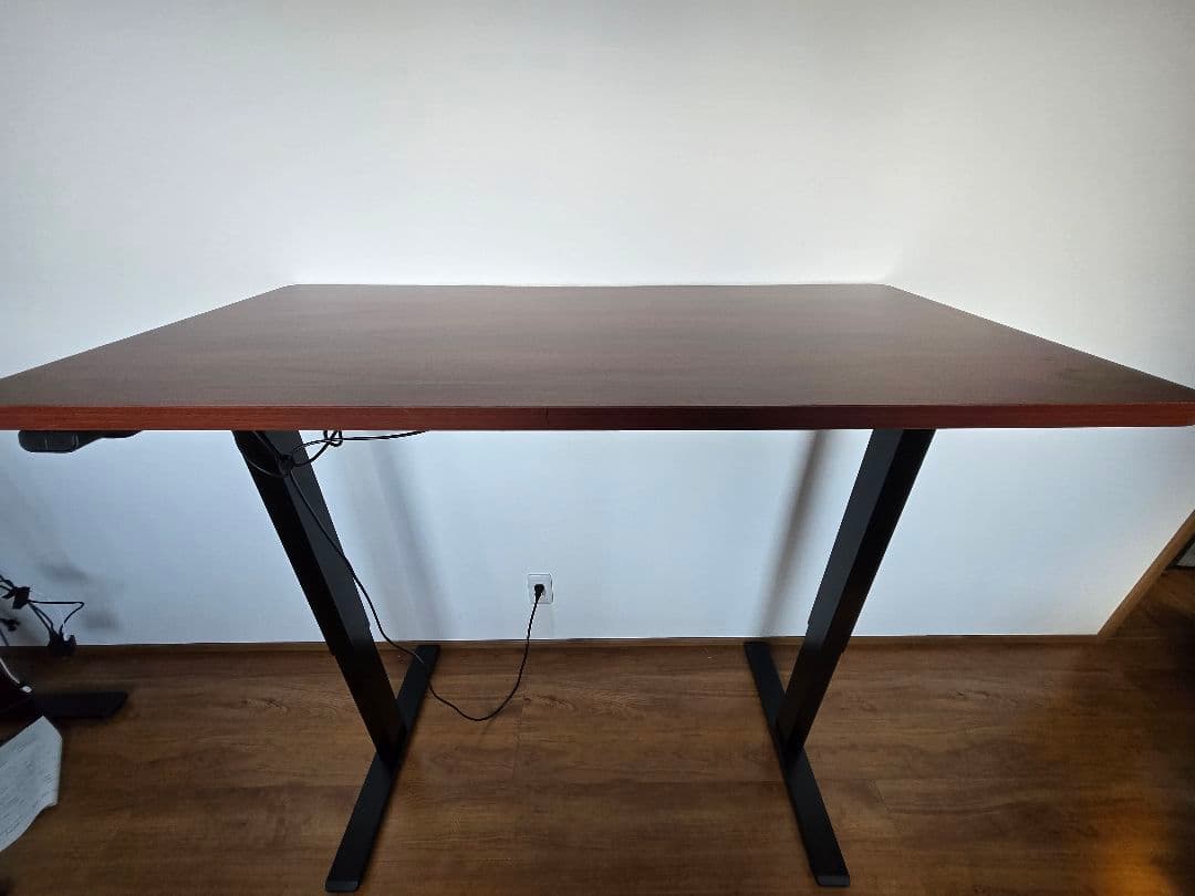 最終処分価格！　FLEXISPOT　EG-1