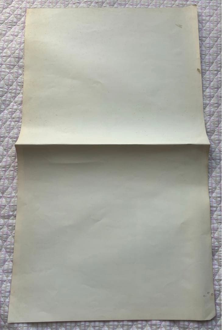 八代亜希　当時物　ポスター　池谷朗