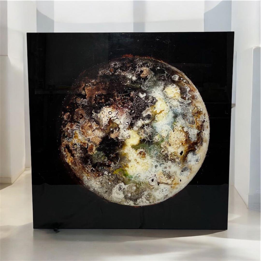 「FUSION WORLD」 Anne Gaiss 鑑定書付 アート