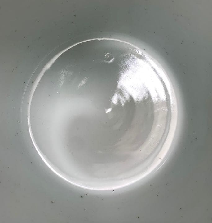 茶道具　膳所焼　陽炎園　雲堂写染付水指　淡々斎箱書