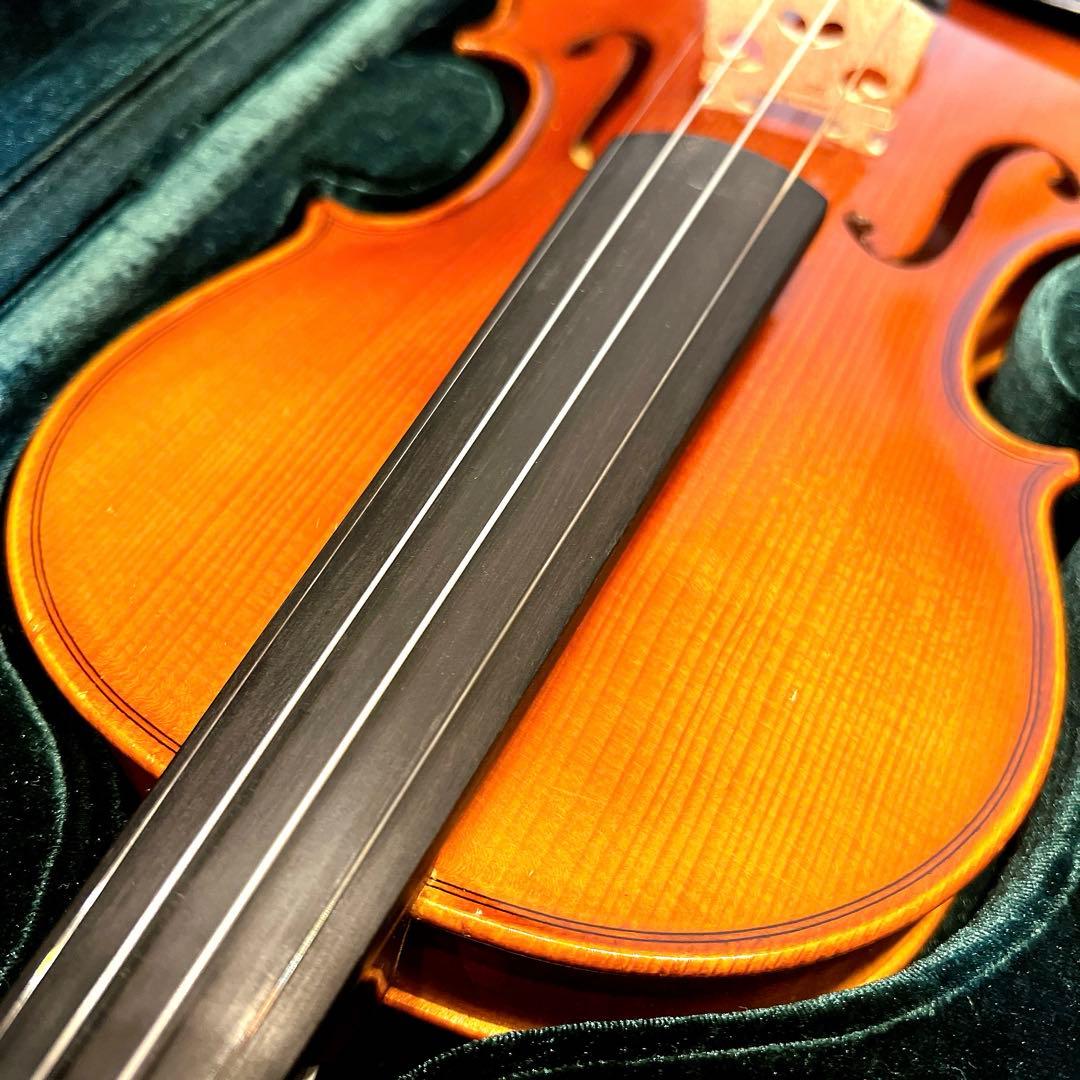 【美品】Franz Sandner 4/4 2006年製 フランツザンドナー虎杢