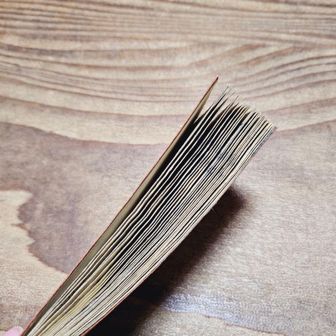 po9221※難有 絵本 化猫 鐄花猫目鬘 一孟斎芳虎 戯作 妖怪 和本 古文書