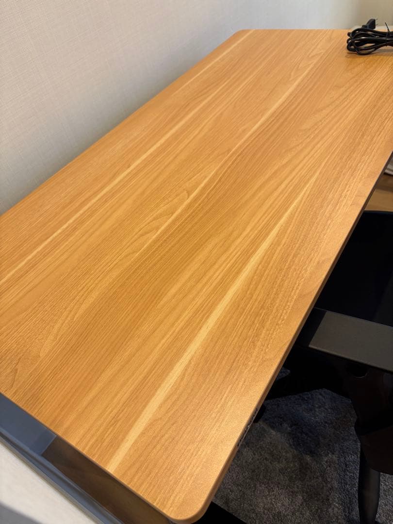 FLEXISPOT 電動式昇降デスク E9