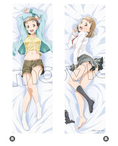 【新品未開封・正規品】玉木マリ 抱き枕カバー 宇宙よりも遠い場所 ムービック