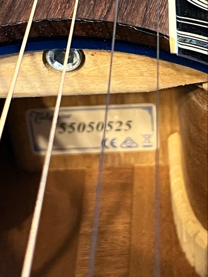 Takamine タカミネ TDP500-6 DBS 長渕剛ツアー使用モデル