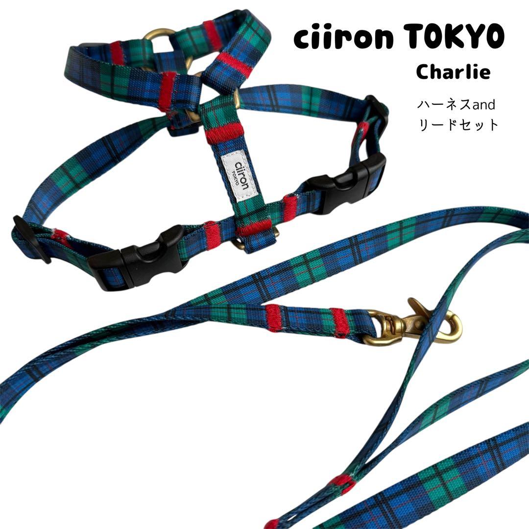 美品◆ ciiron TOKYO Charlie ハーネス&リードセット S