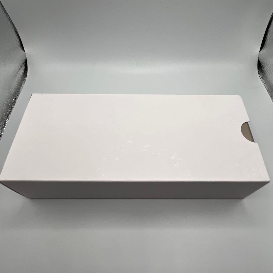 Pelikan ペリカン 万年筆 限定 スーベレーン M600 EF オレンジ