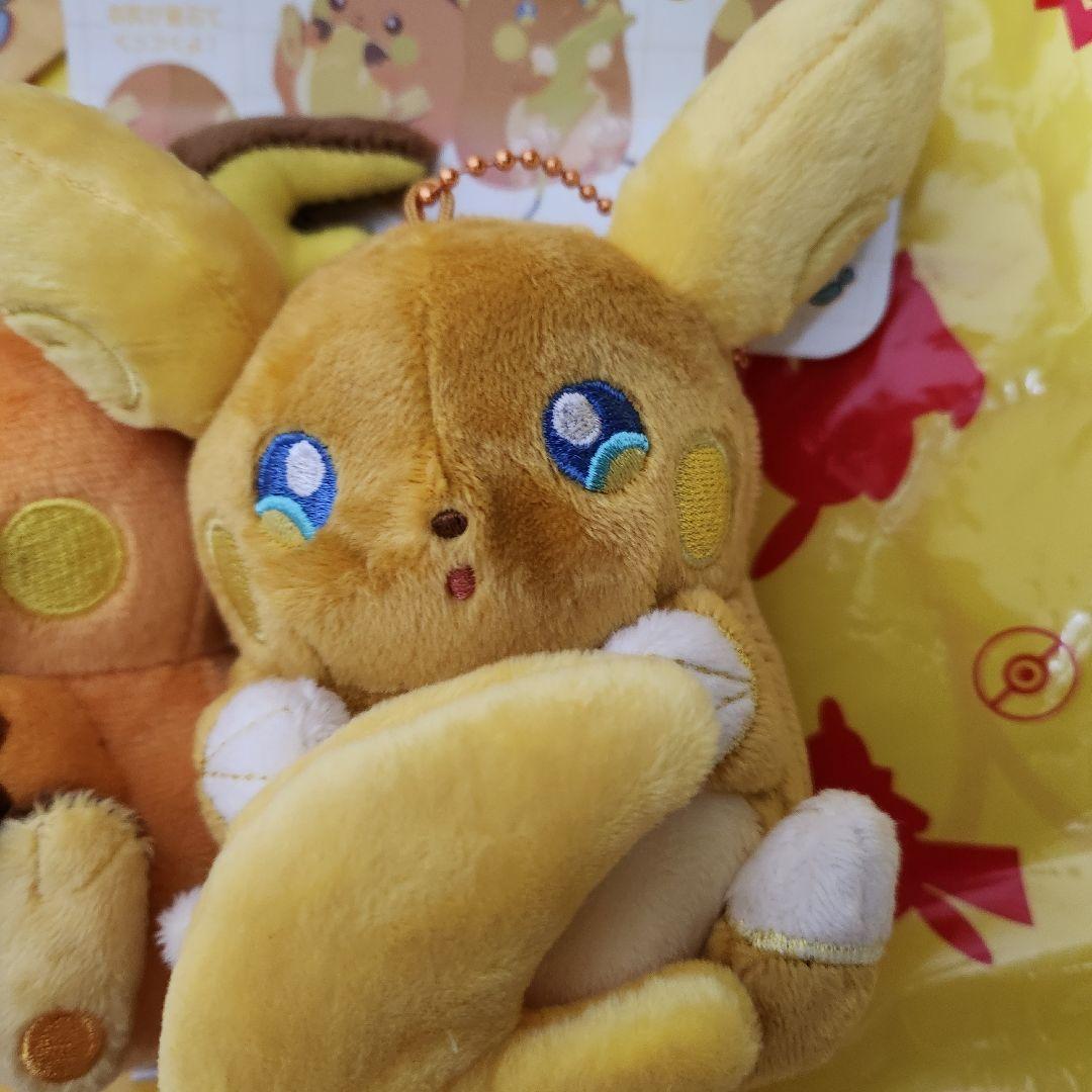 ポケモン にたものどうし ライチュウ　セット