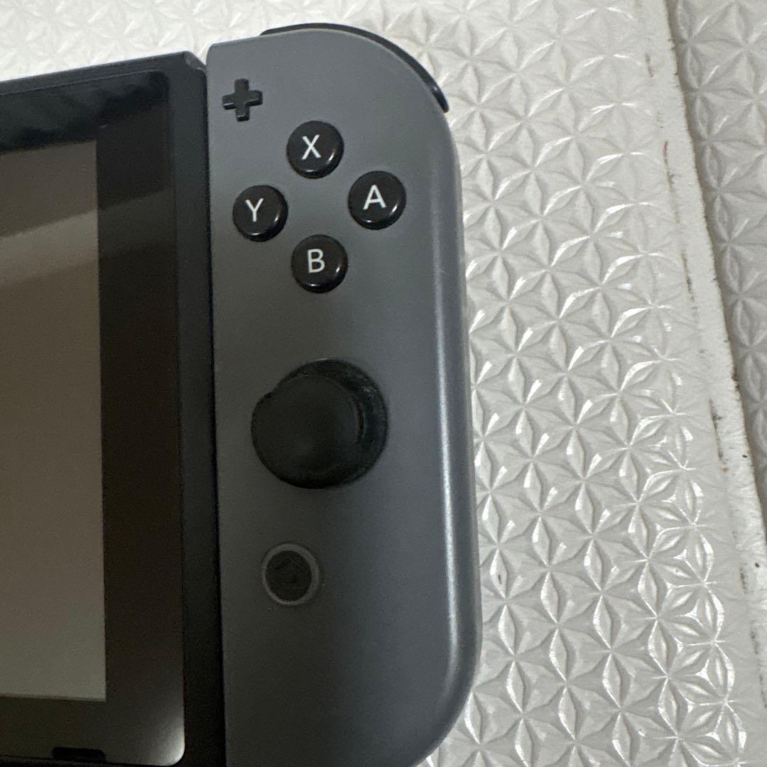 Nintendo Switch グレー本体 付属品付き&公式ソフトケース付