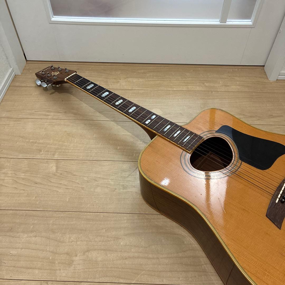 激レア！TF モーリス　MORRIS W-621R schallerペグです