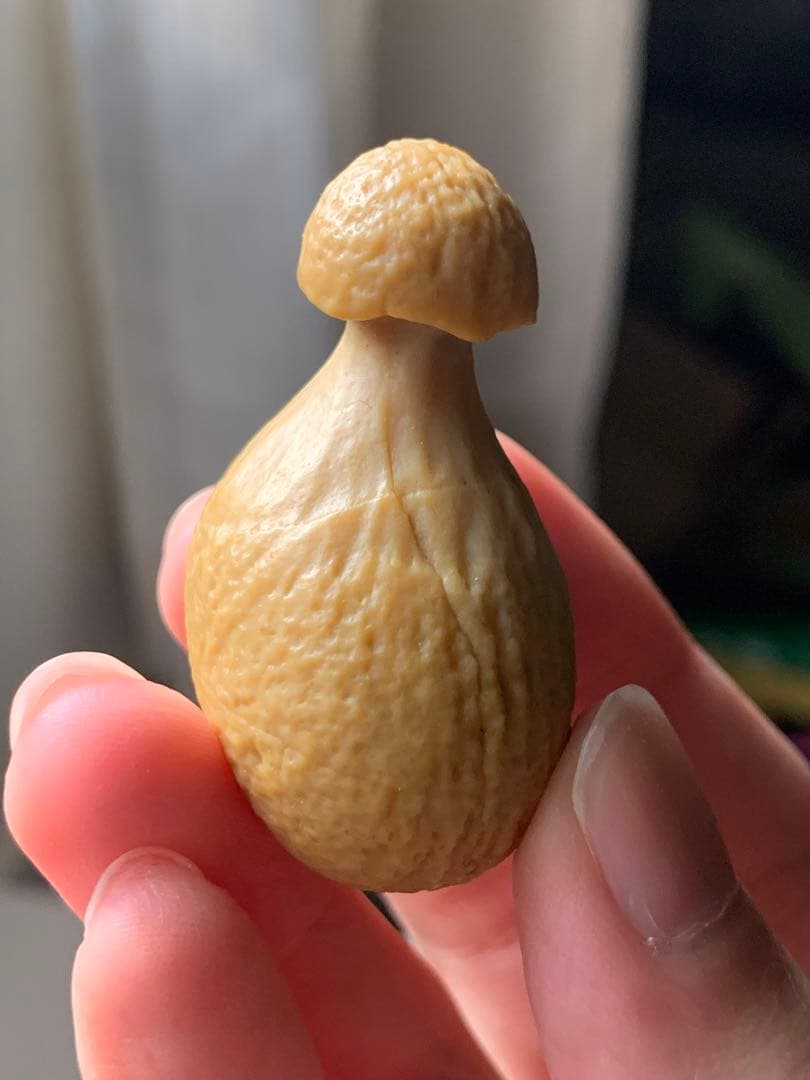 アラシャンゴビアゲート　蒙古瑪瑙　原石　水石　翡翠　オパール　根付　天珠 翡翠