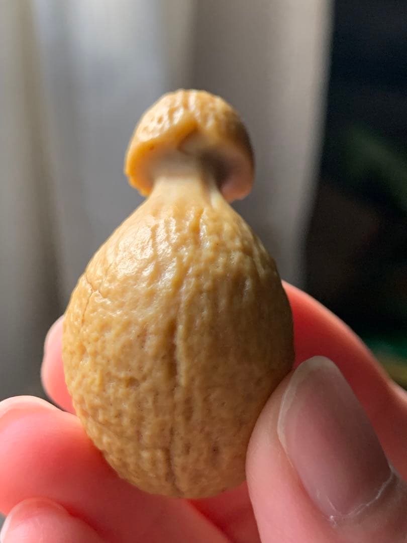 アラシャンゴビアゲート　蒙古瑪瑙　原石　水石　翡翠　オパール　根付　天珠 翡翠