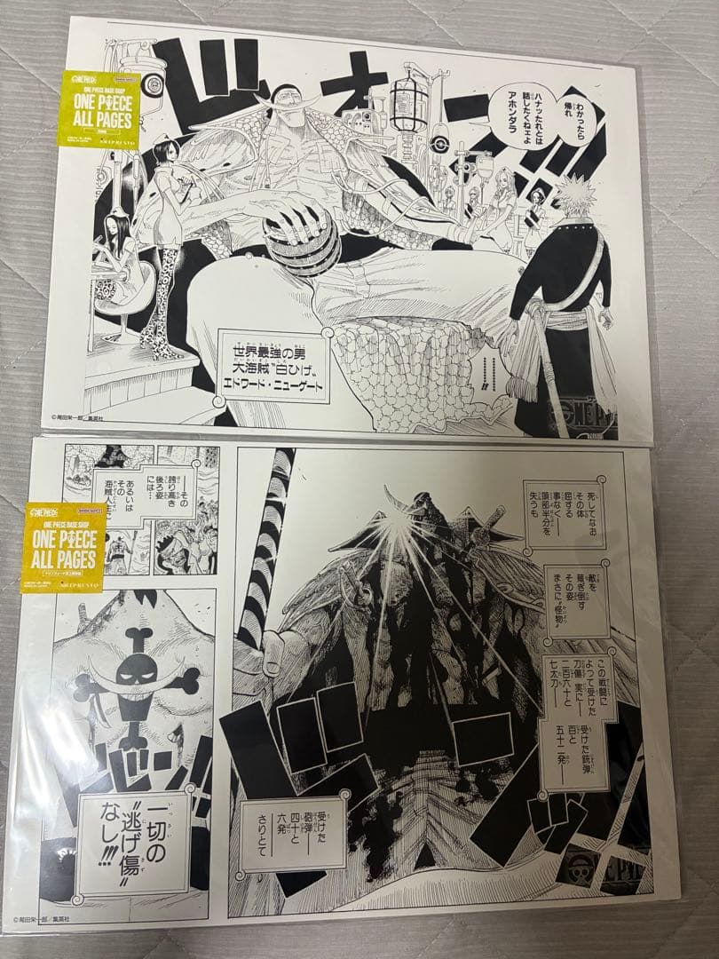 ONE PIECE BASE SHOP ALL PAGES 白ひげ