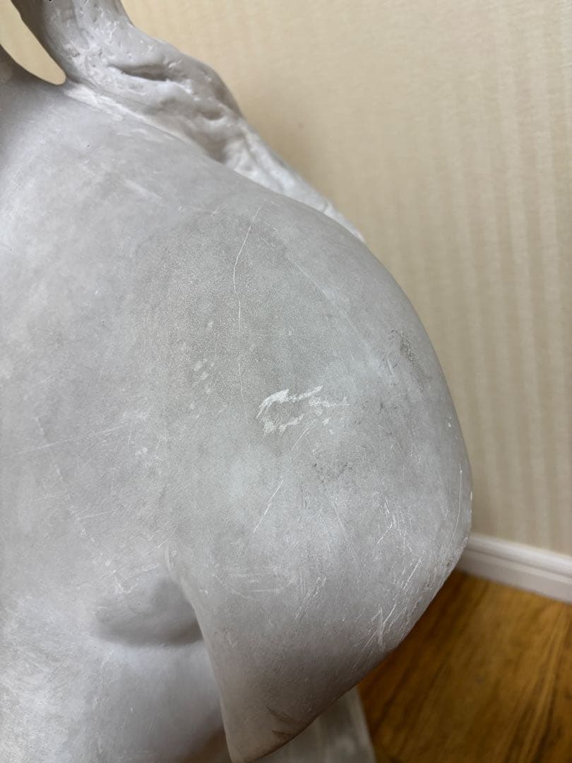 石膏像　カピトリーノのヴィーナス胸像(カッパ)　大型