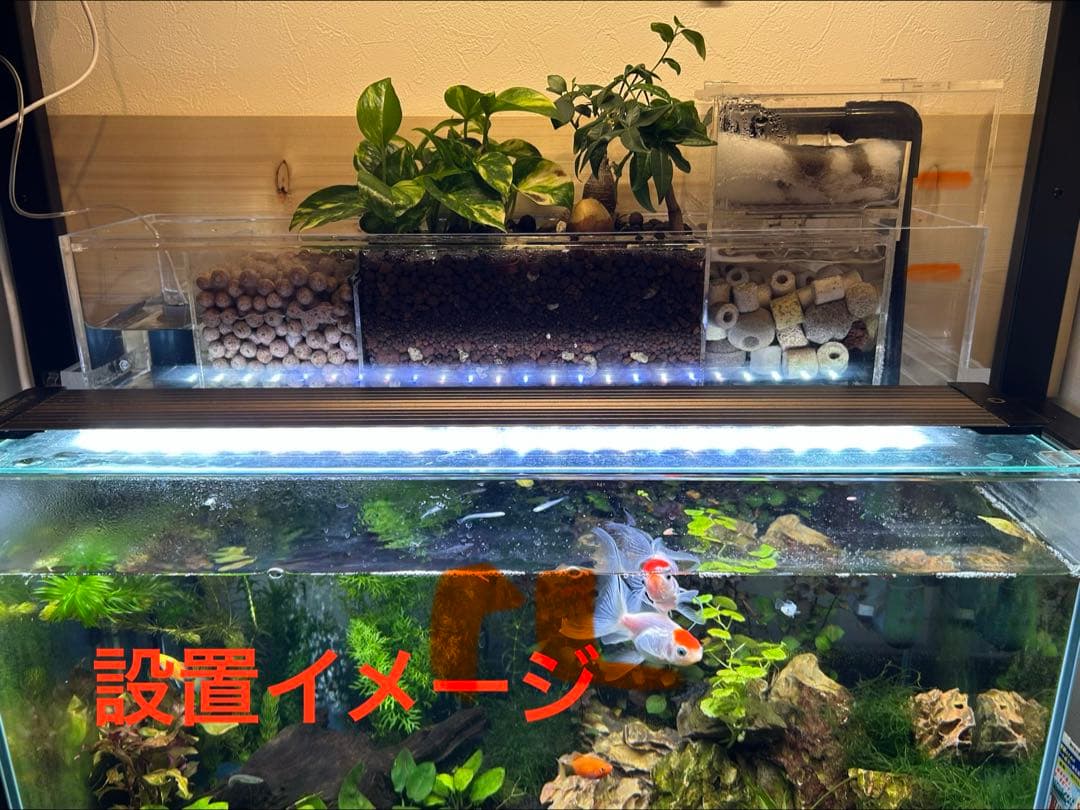 上部濾過式アクアリウム水槽アクアポニックス仕様　60cm幅水槽用