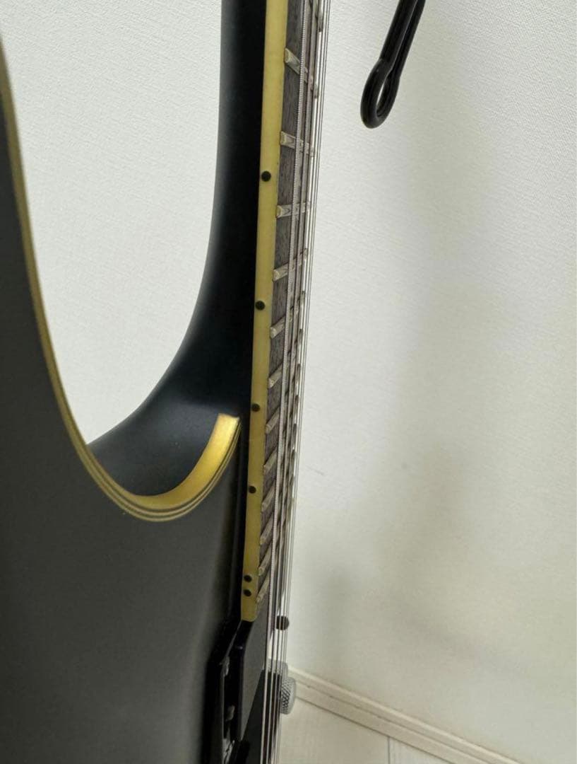 エレキギターシェクターSCHECTER Damien