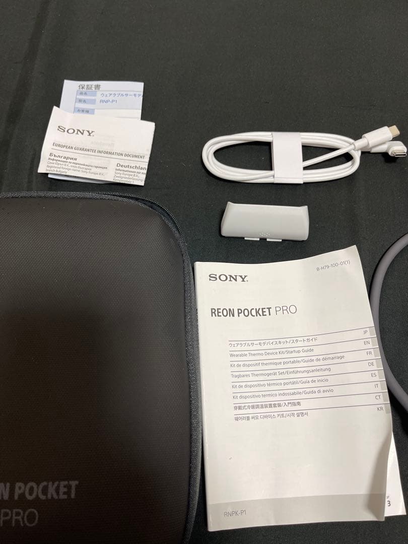 扇風機・サーキュレーター SONY REON POCKET PRO