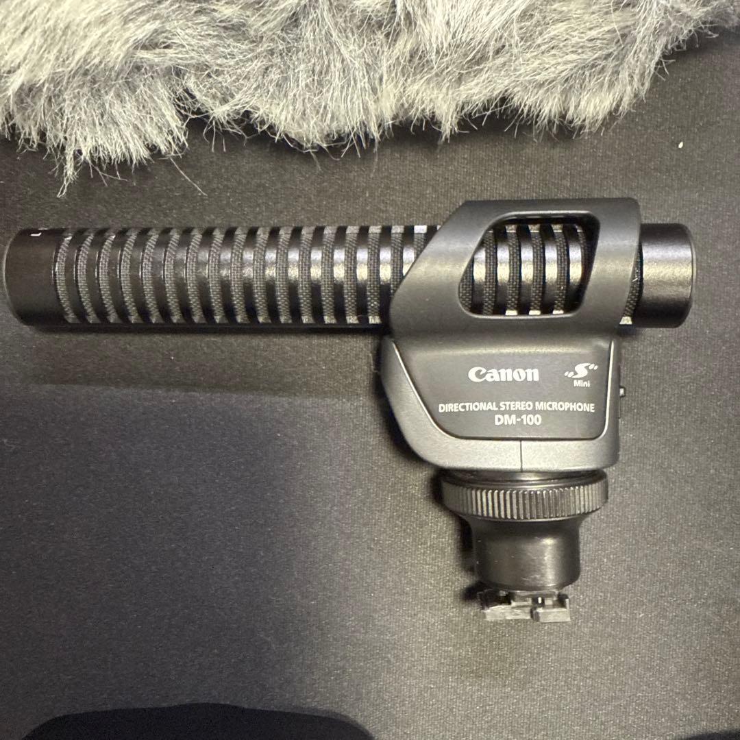 Canon iVIS HF G20 「おまけ付き❗️」