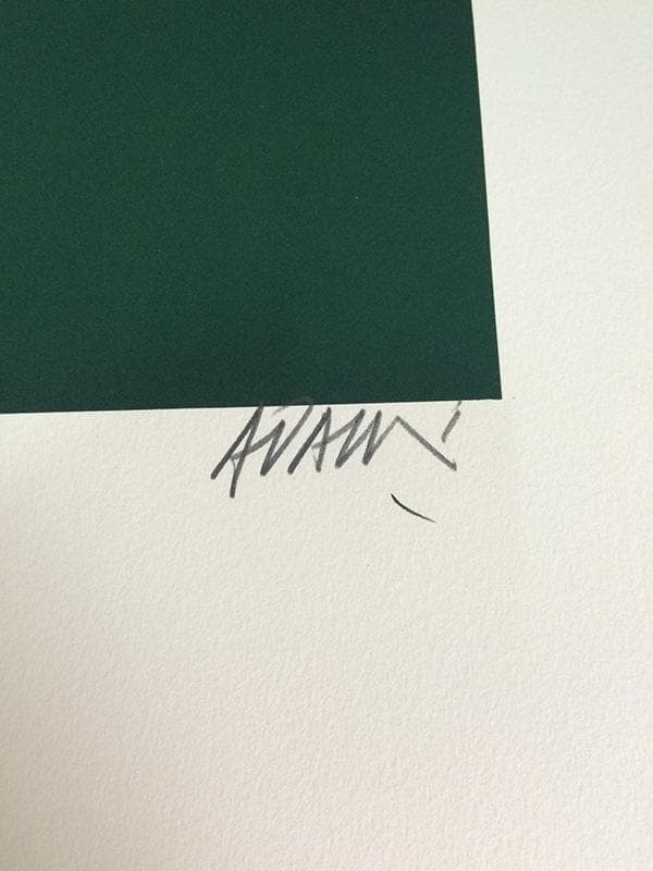 額装品/AFF AVT SALPETRIERE 限定100枚/ヴァレリオ・アダミ