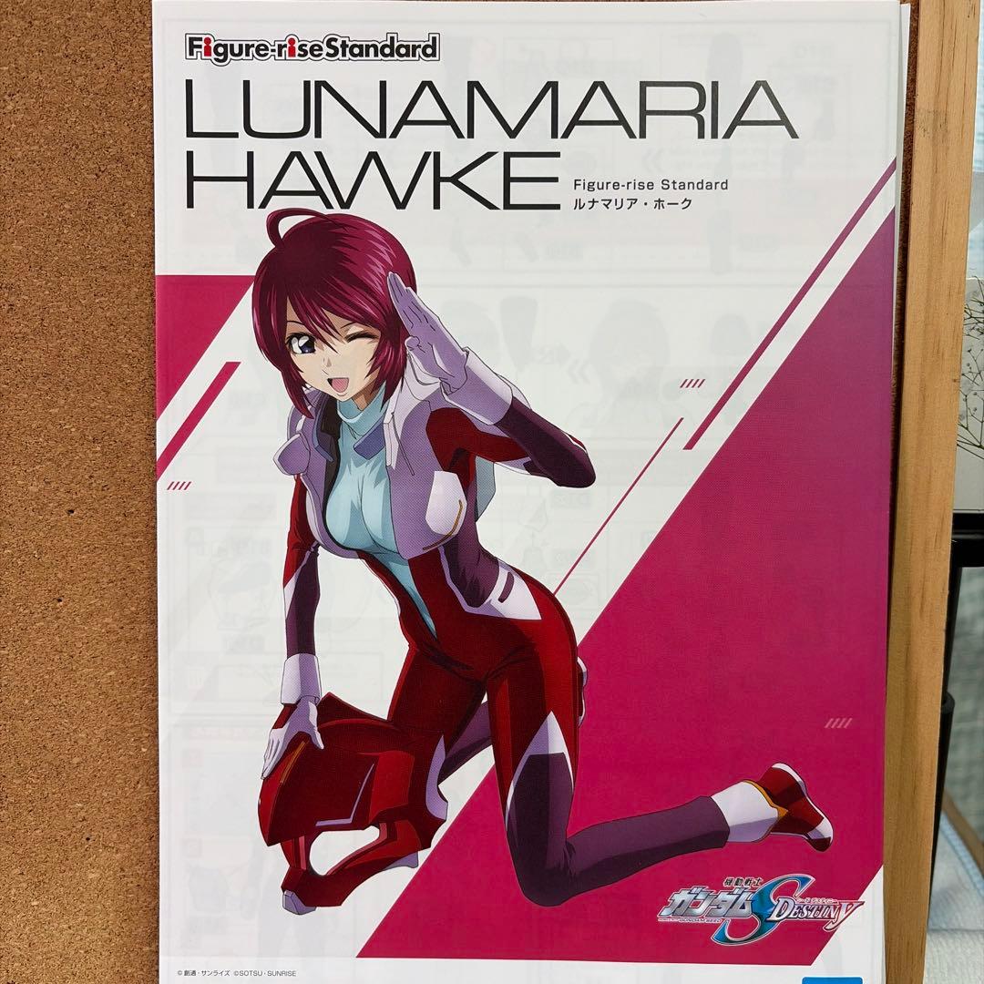 30msプラモデルジャンク　ルナマリアホーク&黛冬優子セット