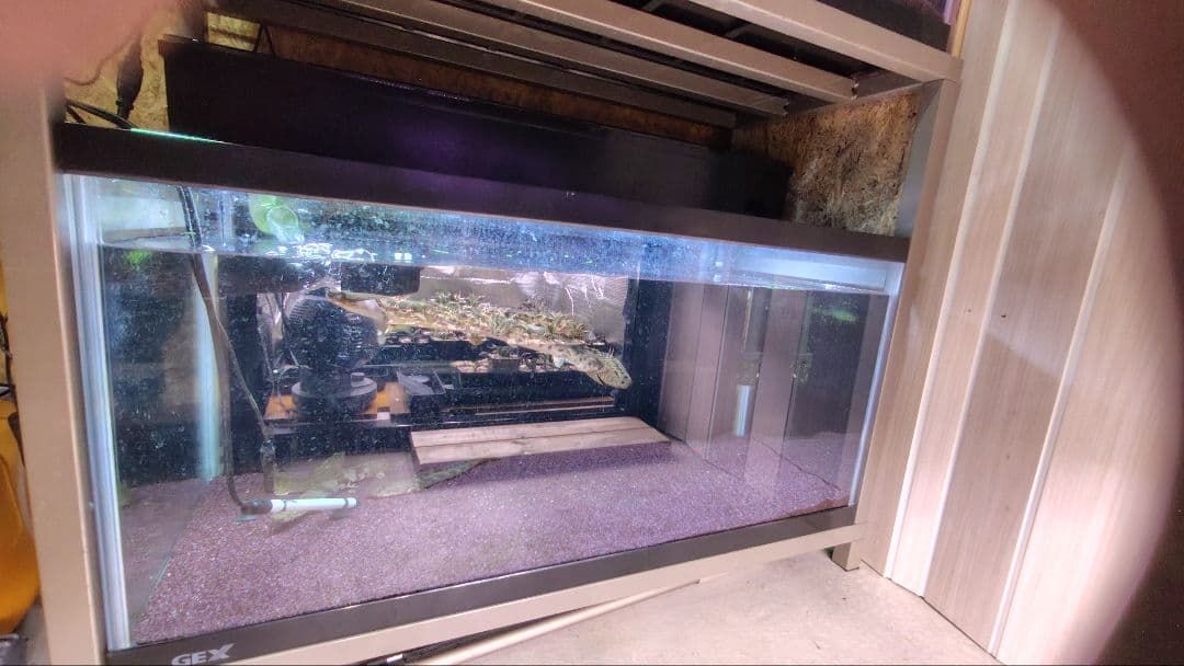 ｍiyaｋama　90ガラス水槽2台　スチール水槽台　上部フィルター