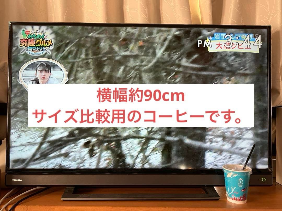 東芝 40V型 液晶テレビ 40V31 REGZA W録