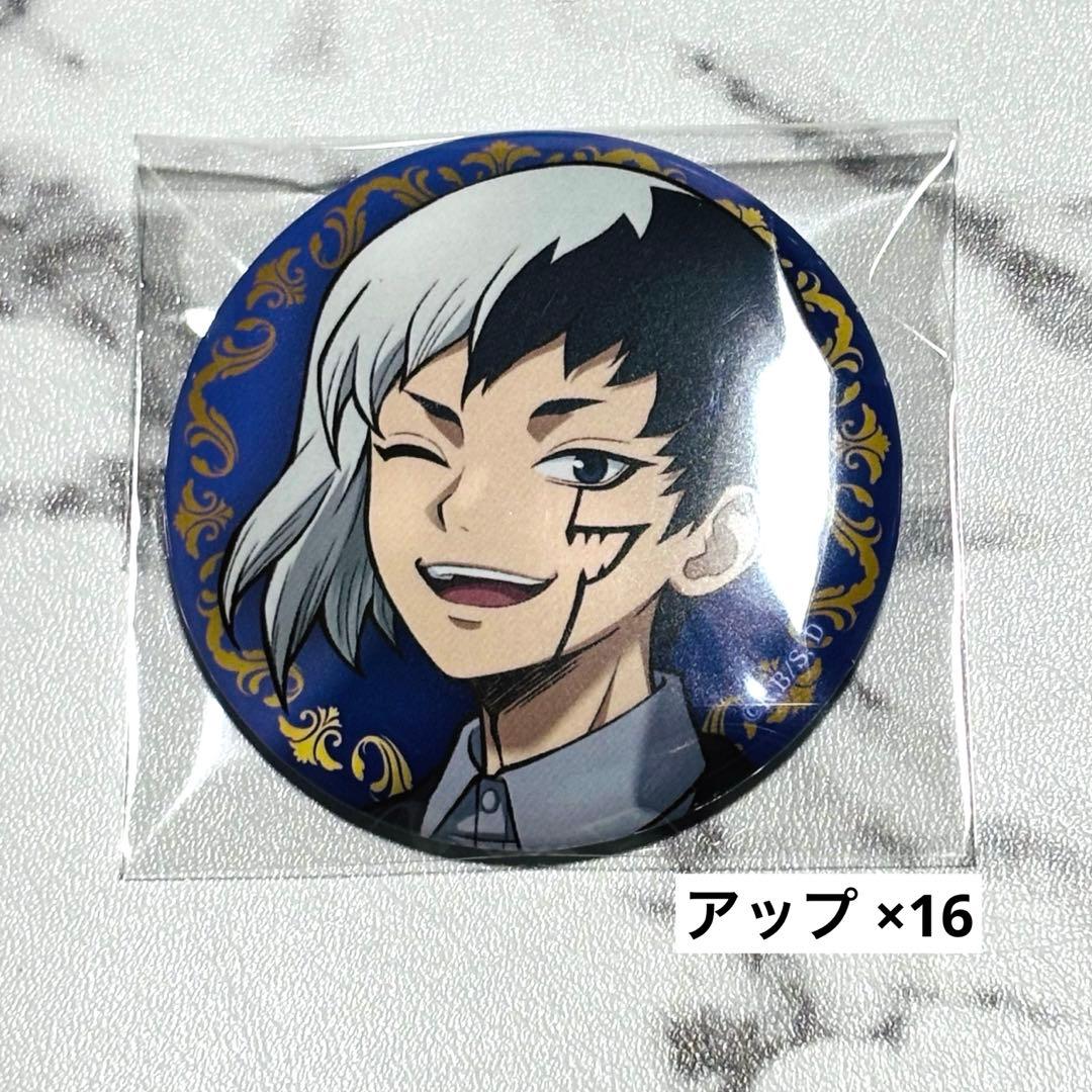 Dr.STONE あさぎりゲン ブラックスーツ 缶バッジ 16点