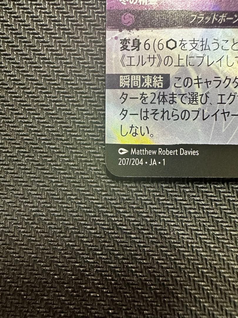 エルサ　エンチャンテッド　日本語1枚